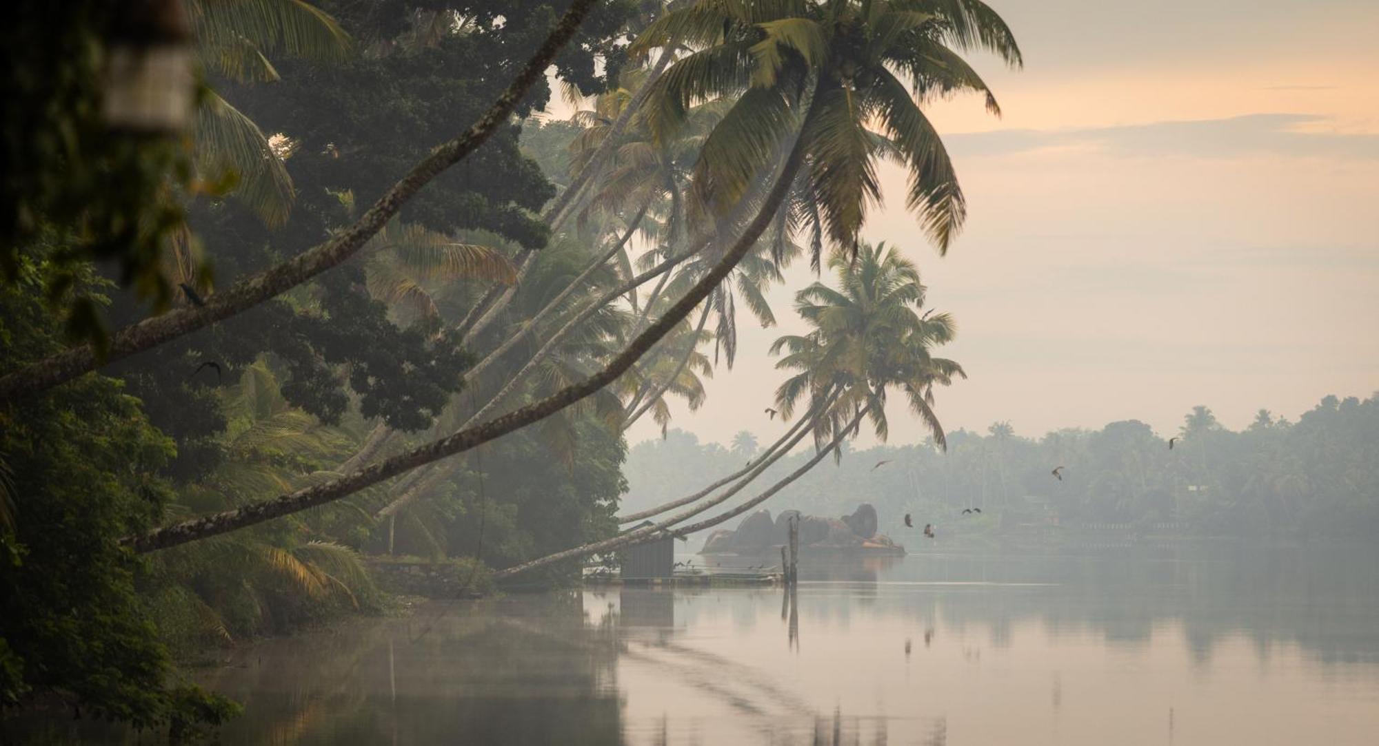 North Paravur Cranganor History Cafe & Riverside Chateau מראה חיצוני תמונה